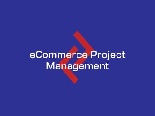 Comsim eCommerce Project Management increases the likelihood of successful project deliveries