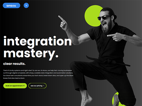 Screenshot of the sinsou home page hero showing the “integration mastery” headline and brand visuals that introduce the new sinsou website experience.
